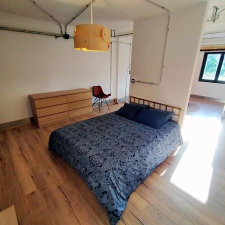 Apartament Lotila Flats Mieres Mieres  Zewnętrze zdjęcie
